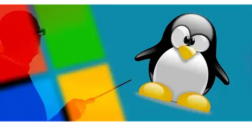 windows-7079876_640.webp